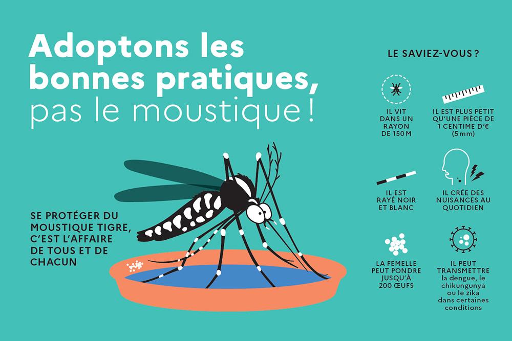 Moustique tigre en Auvergne-Rhône-Alpes : agissons ensemble !