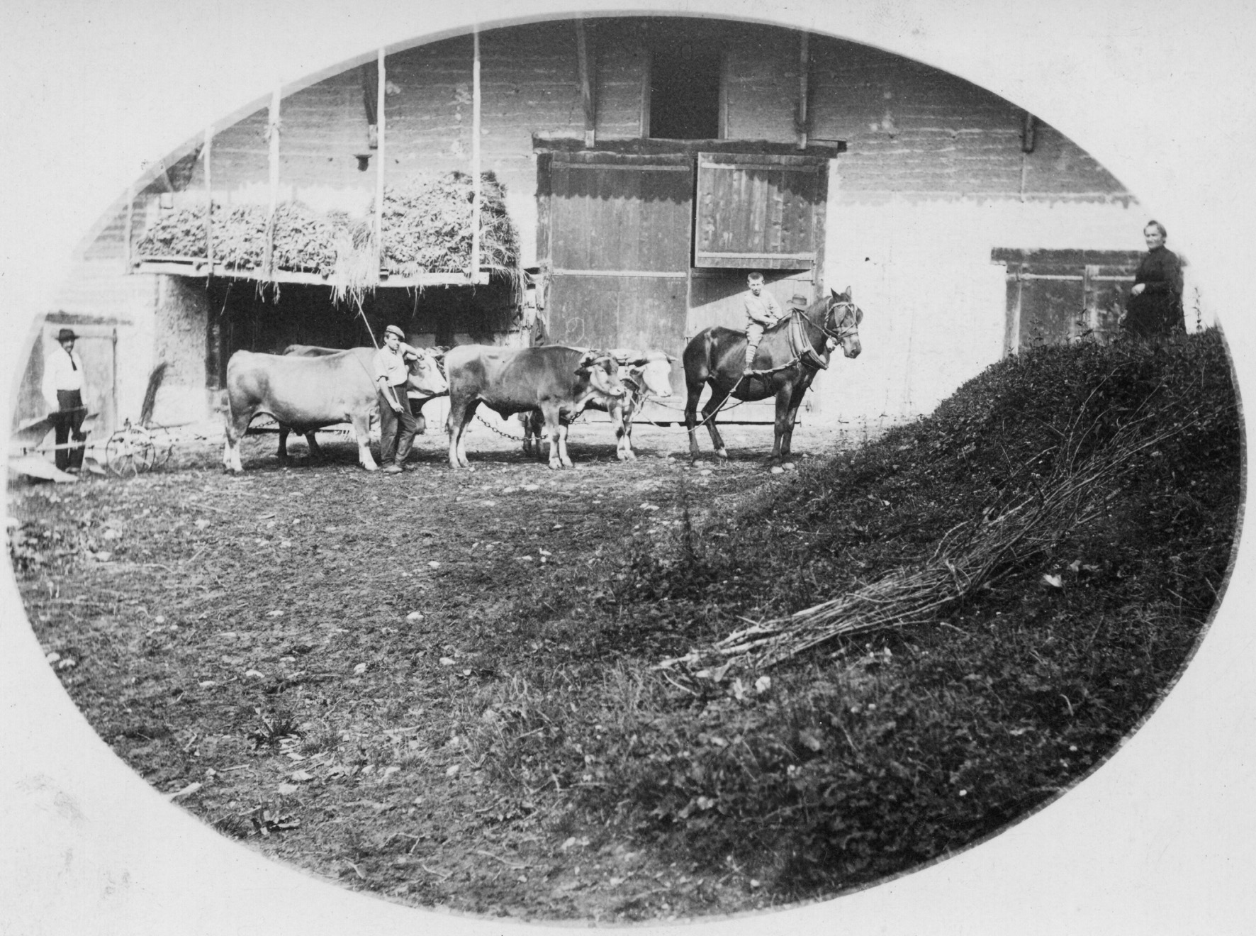 Attelage devant la ferme de Champe