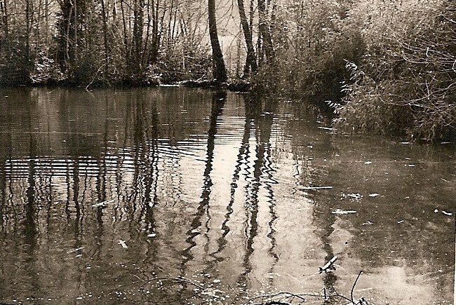 Etang du Château