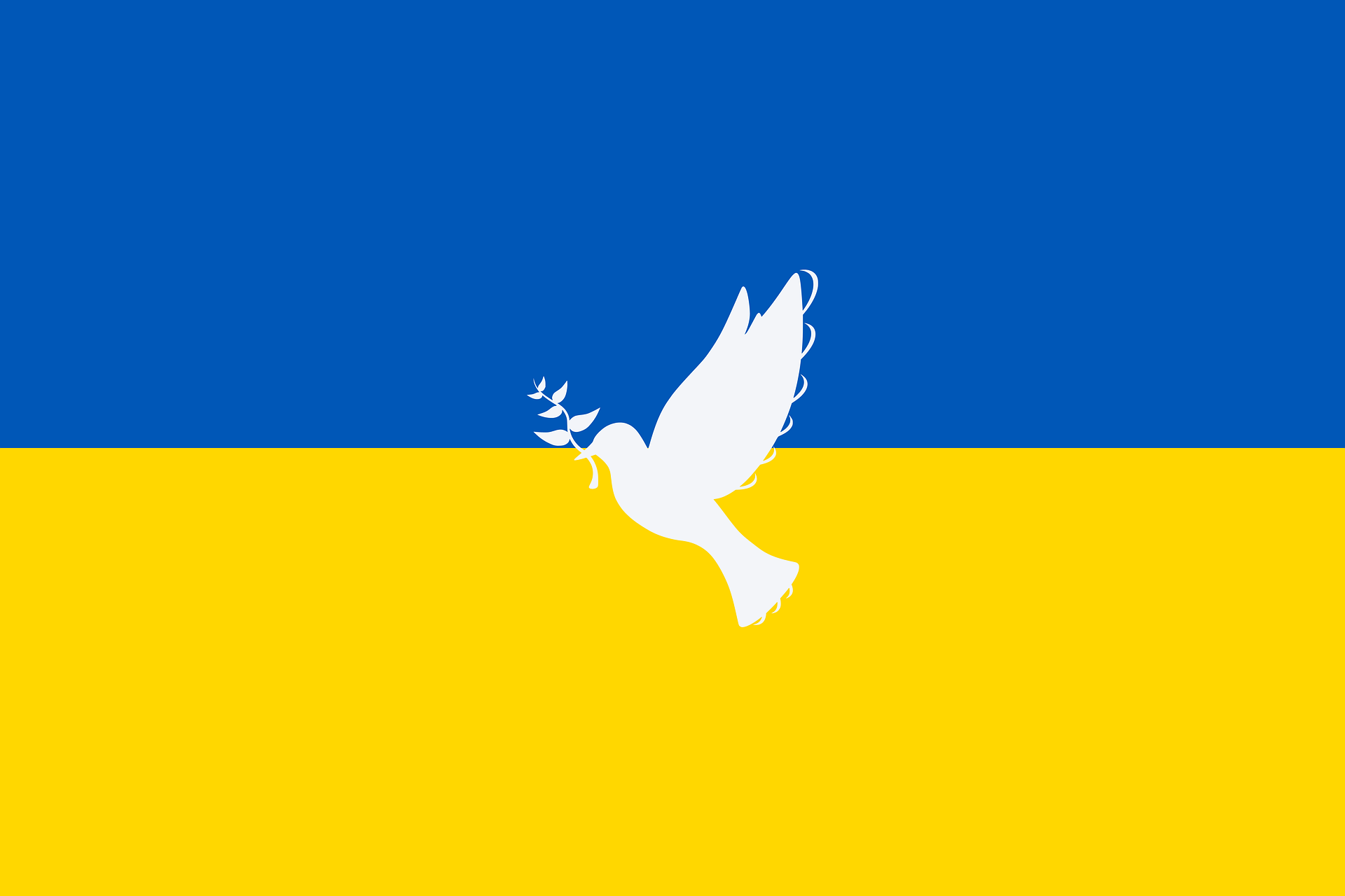 Réfugiés Ukrainiens : dernières infos